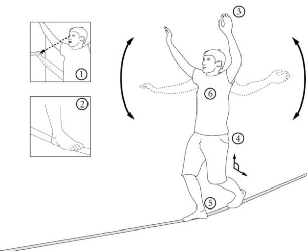 How to begin slacklining? Tips and tricks for beginners | Balansa Slackline
